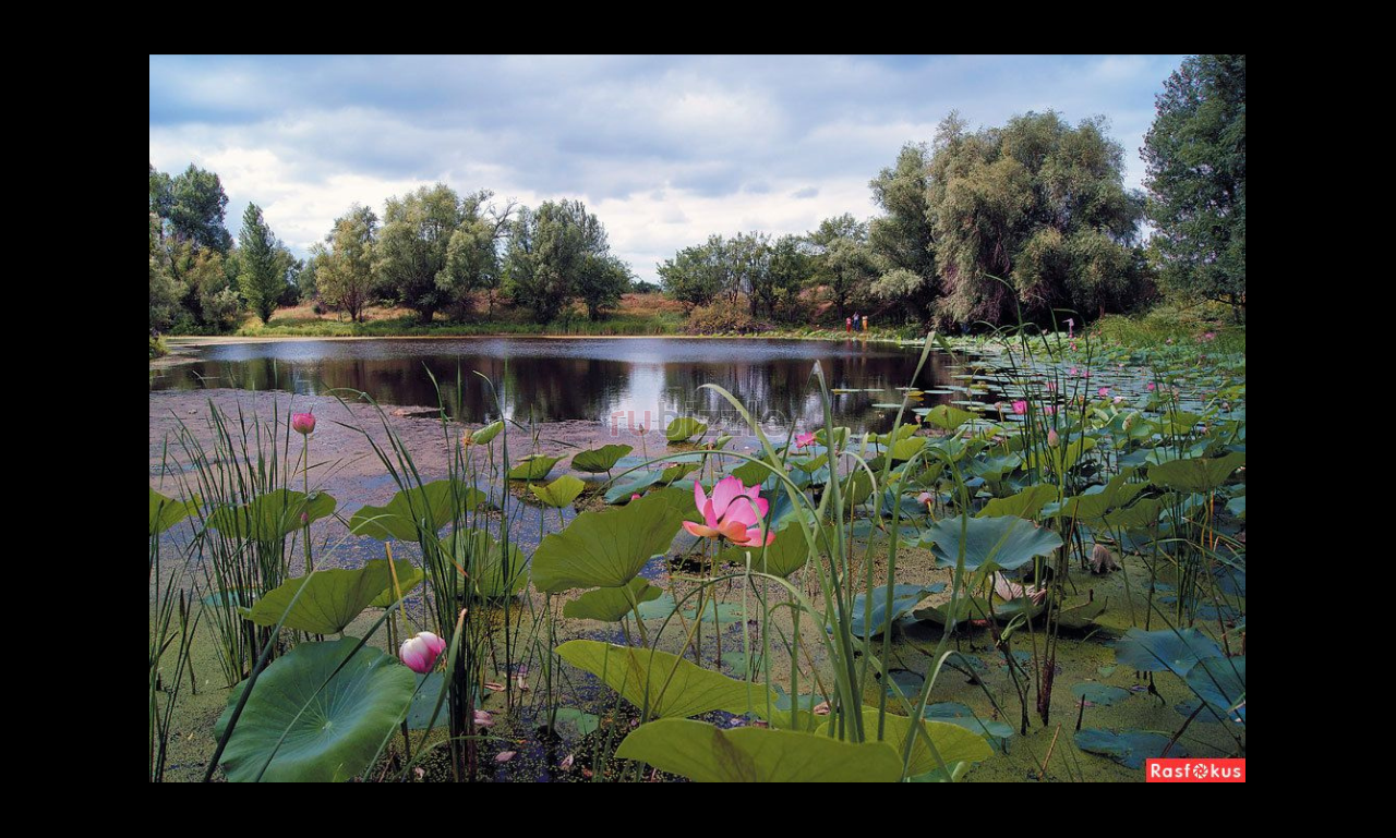 Profitable Land Exchange Opportunity Between Russia and Persian Gulf