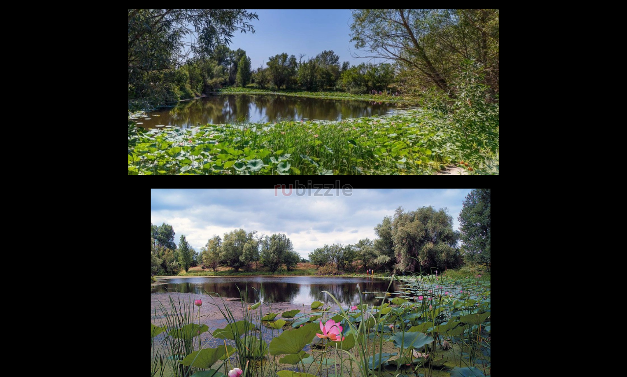 Russia Land for Dubai, Qatar or Saudi Property Exchange