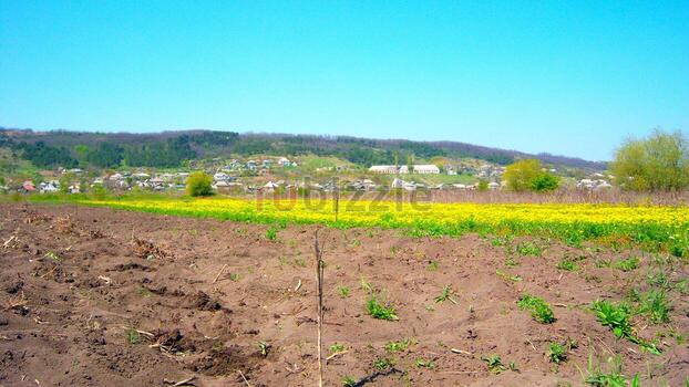 Exclusive Land Plots for Investors in Gulf Nations