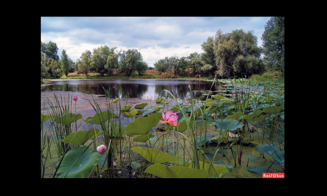 Russian Agricultural Plot for Swap with Persian Gulf Real Estate